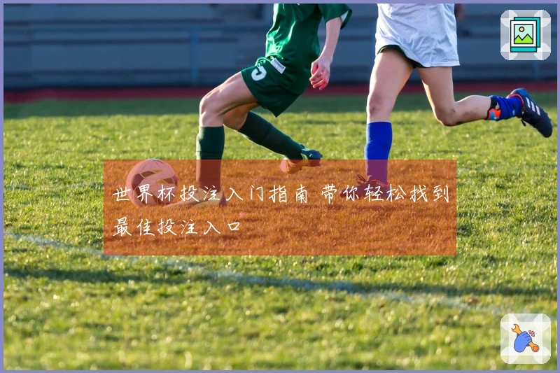 世界杯投注入门指南 带你轻松找到最佳投注入口