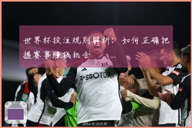 世界杯投注规则解析：如何正确把握赛事赚钱机会