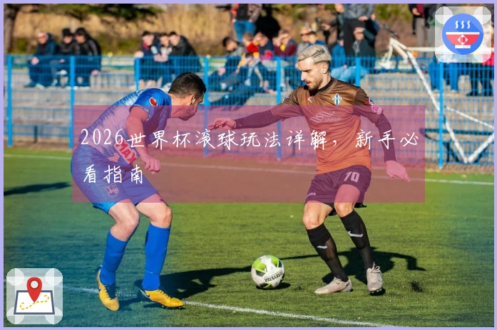 2026世界杯滚球玩法详解，新手必看指南