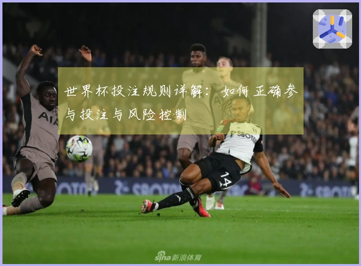 世界杯投注规则详解：如何正确参与投注与风险控制