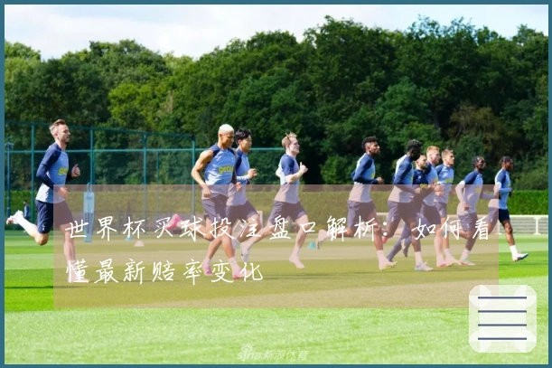 世界杯买球投注盘口解析：如何看懂最新赔率变化