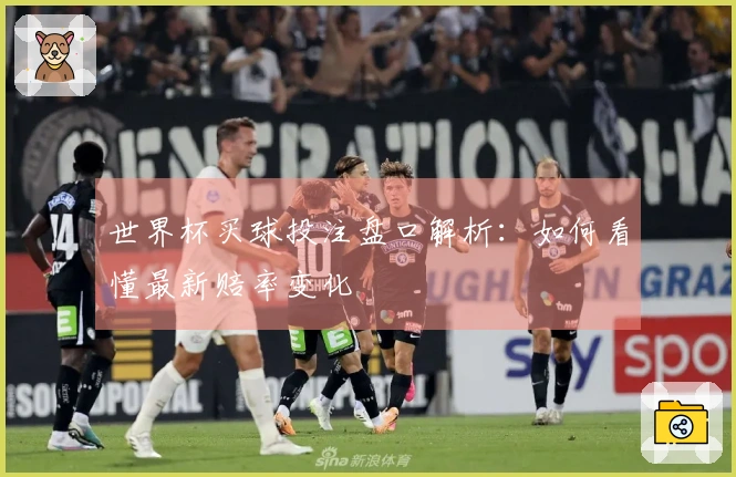 世界杯买球投注盘口解析：如何看懂最新赔率变化