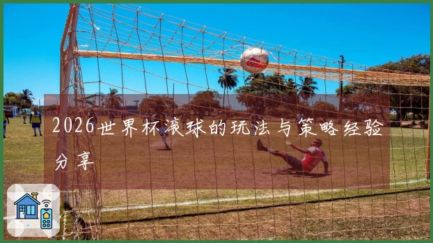 2026世界杯滚球的玩法与策略经验分享