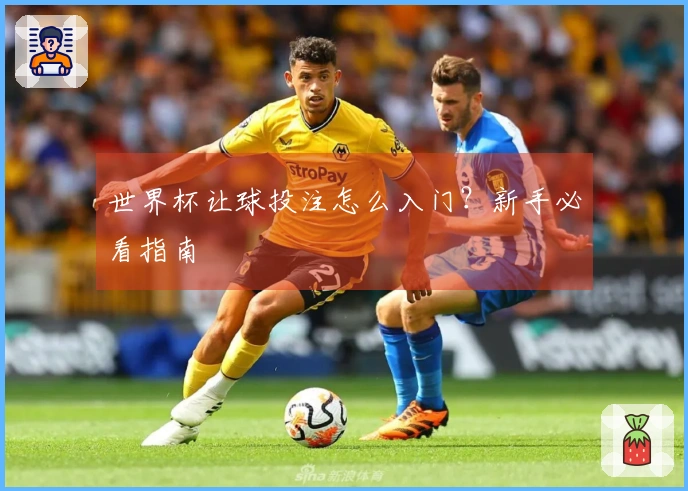 世界杯让球投注怎么入门？新手必看指南