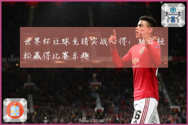 世界杯让球竞猜实战心得，助你轻松赢得比赛乐趣